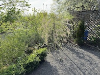 View from the Terrace