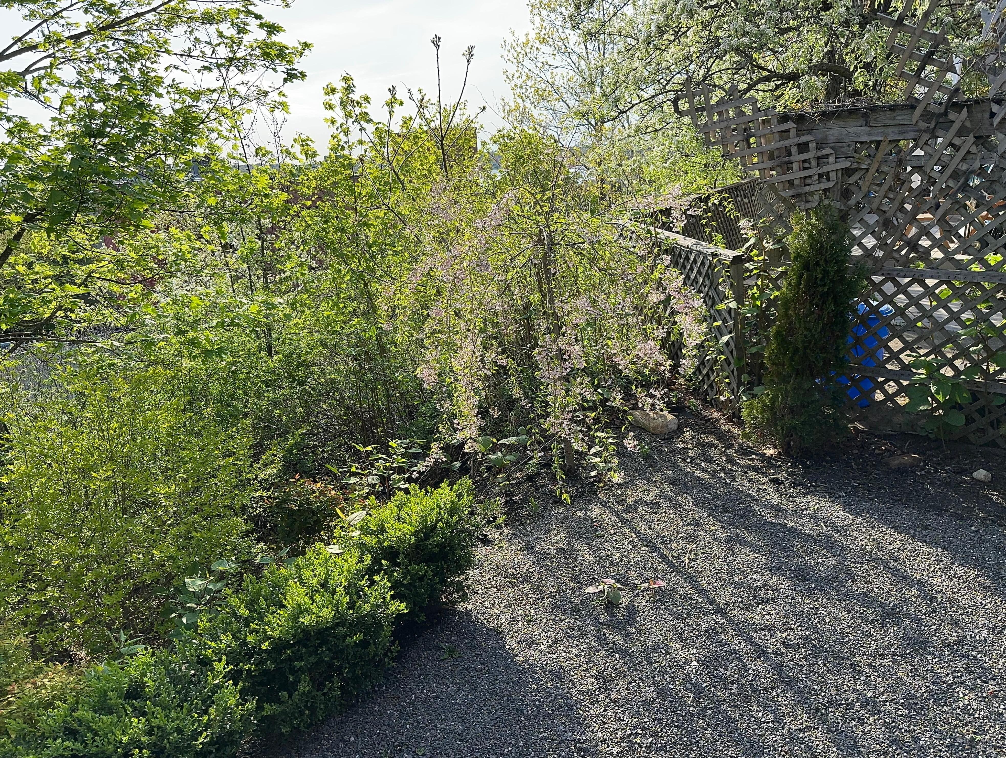 View from the Terrace