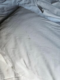 pillow case had stains and bedsheets smelled like they hadn't been changed from previous guests. I take my own because I no longer trust housekeeping. However, this should not be happening.