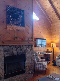 Living room area. Fireplace came in handy.