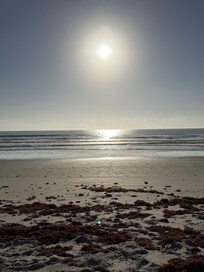 The beach and the sun