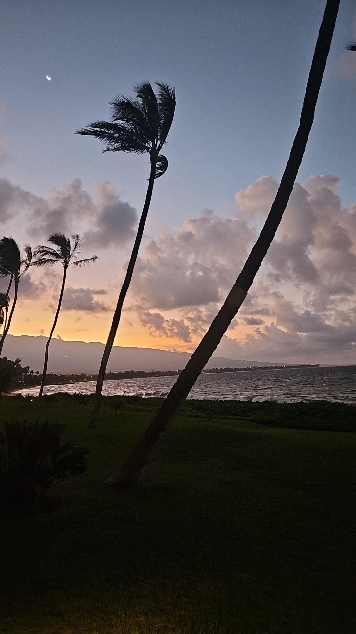 Again, right outside our door. 