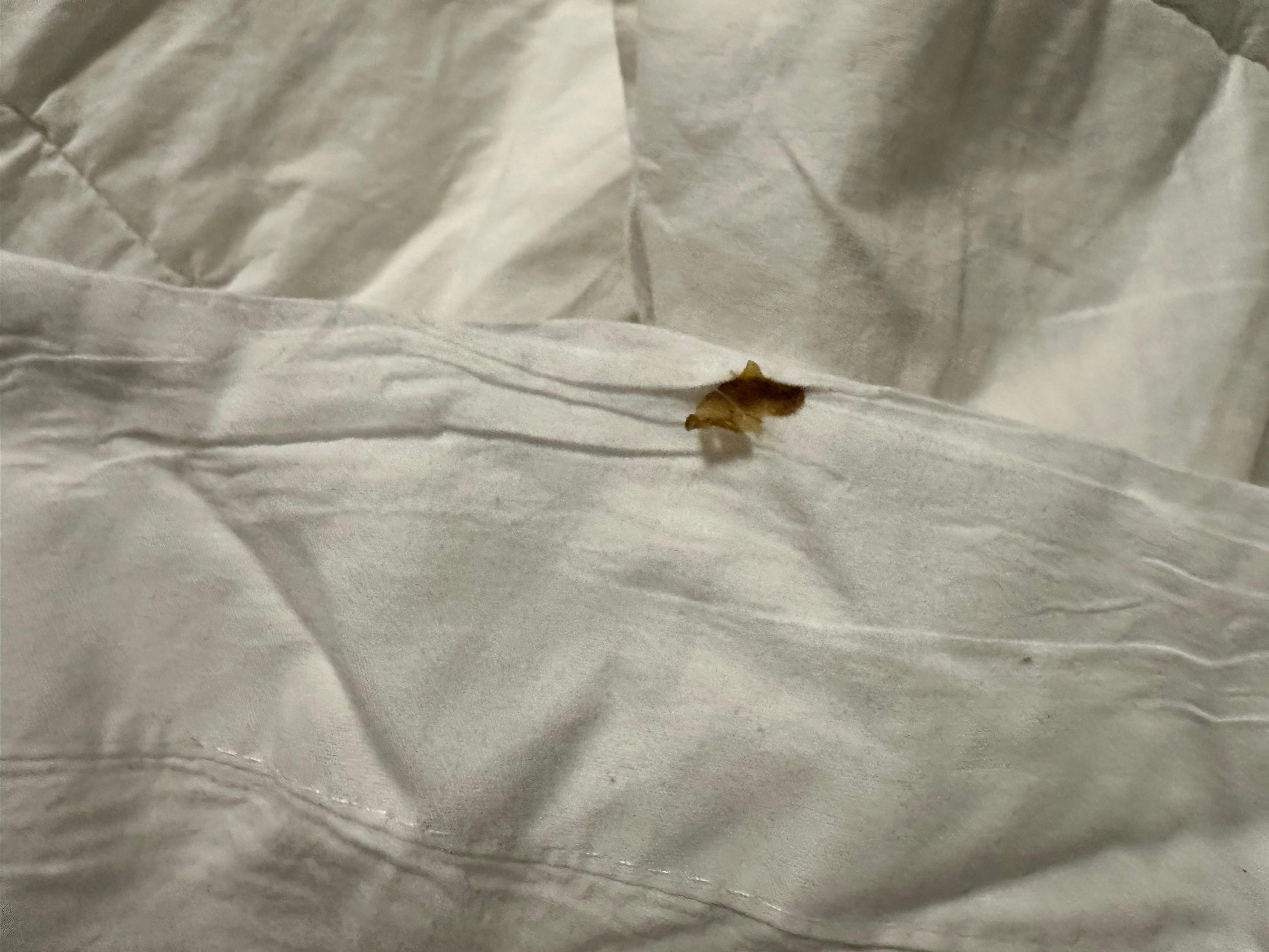 Blanket that was tucked underneath the mattress