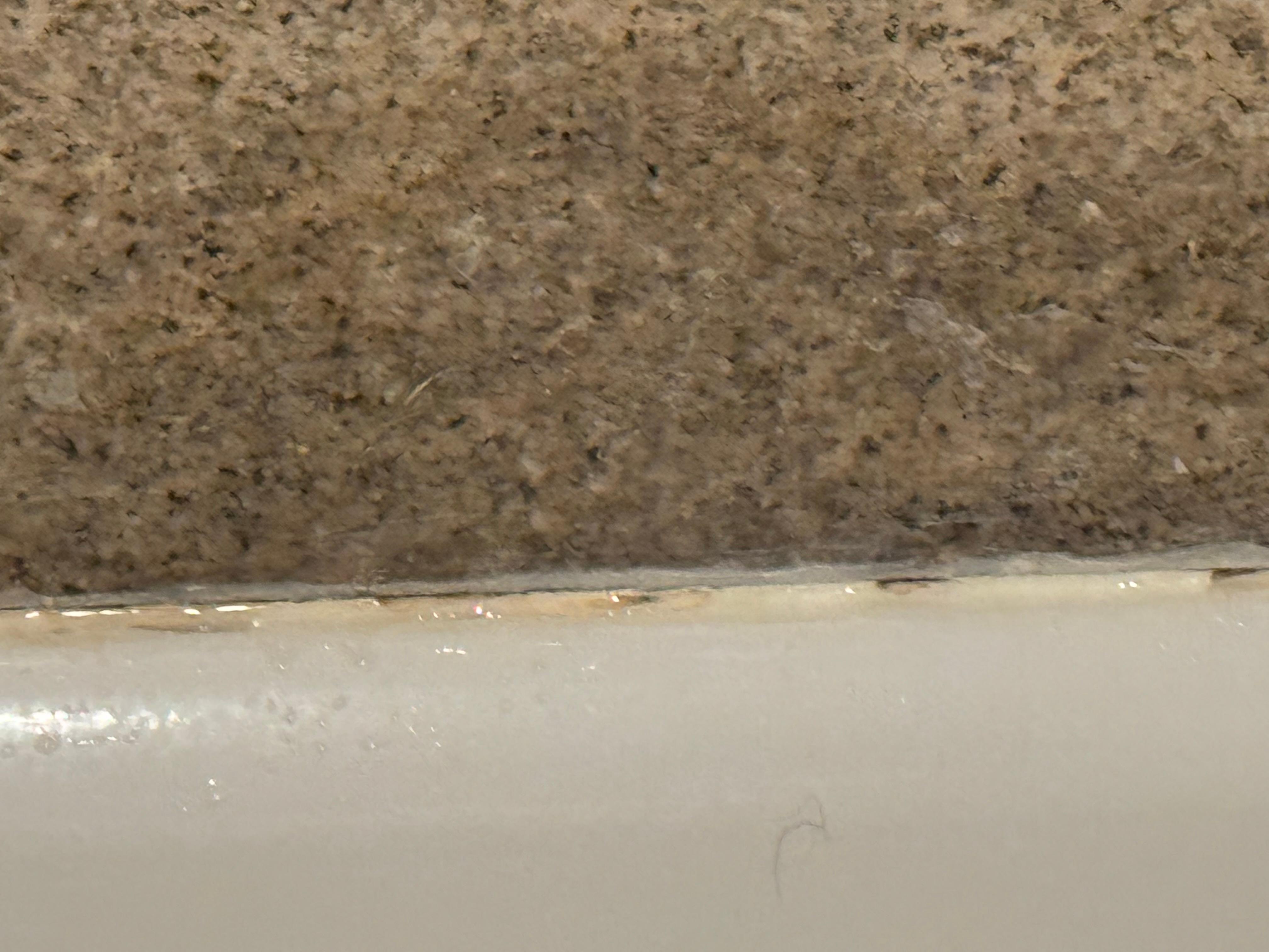 Staining!mold?