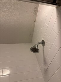 Mold in bathroom