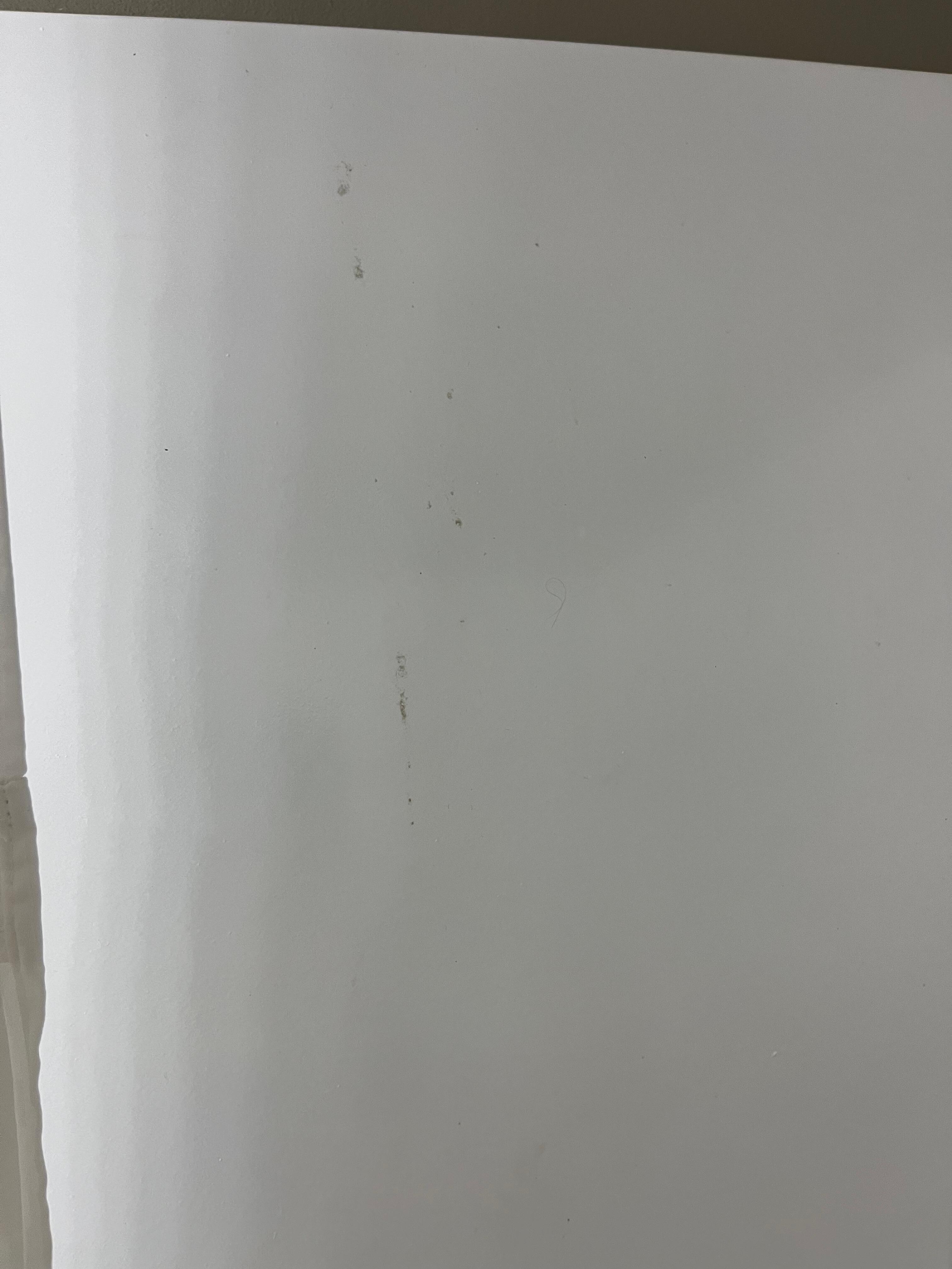 Shower walls. Hair on wall too