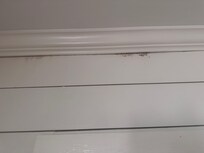 This picture shows the visible mold around the crown molding in the kitchen/dining area.