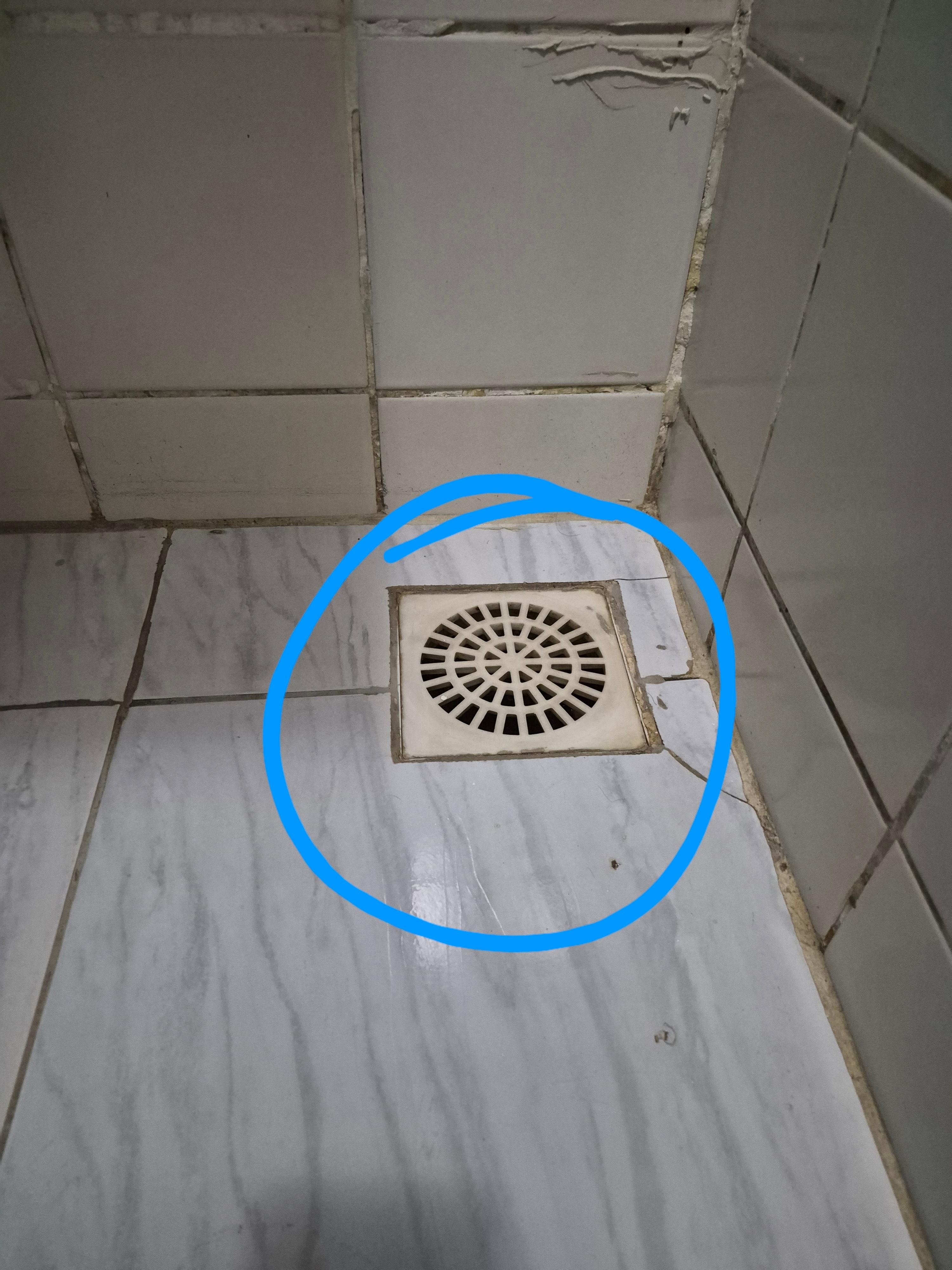 Ralo com cheiro de esgoto