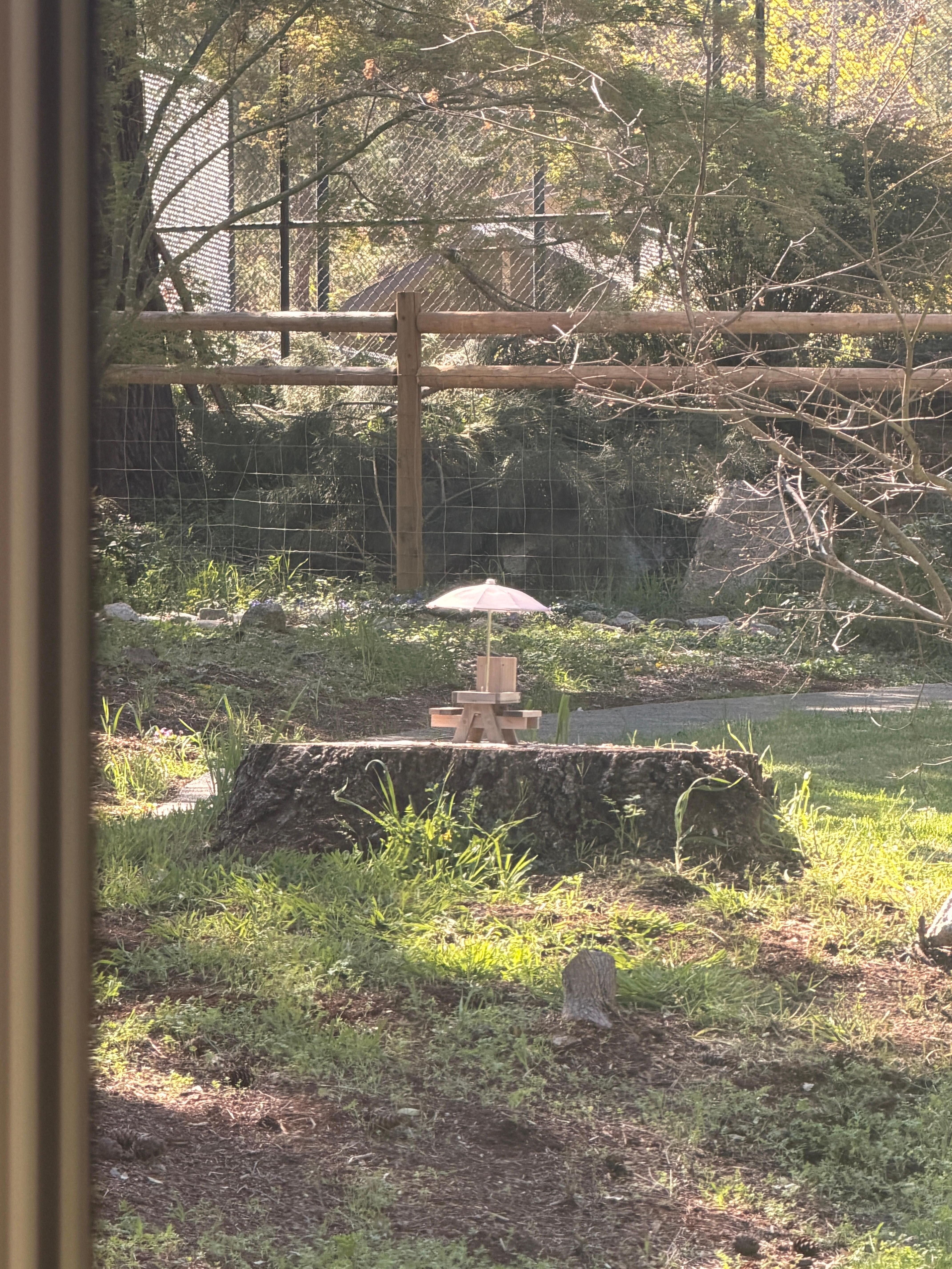 Plenty of seating including for the neighborhood squirrels 