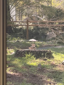 Plenty of seating including for the neighborhood squirrels