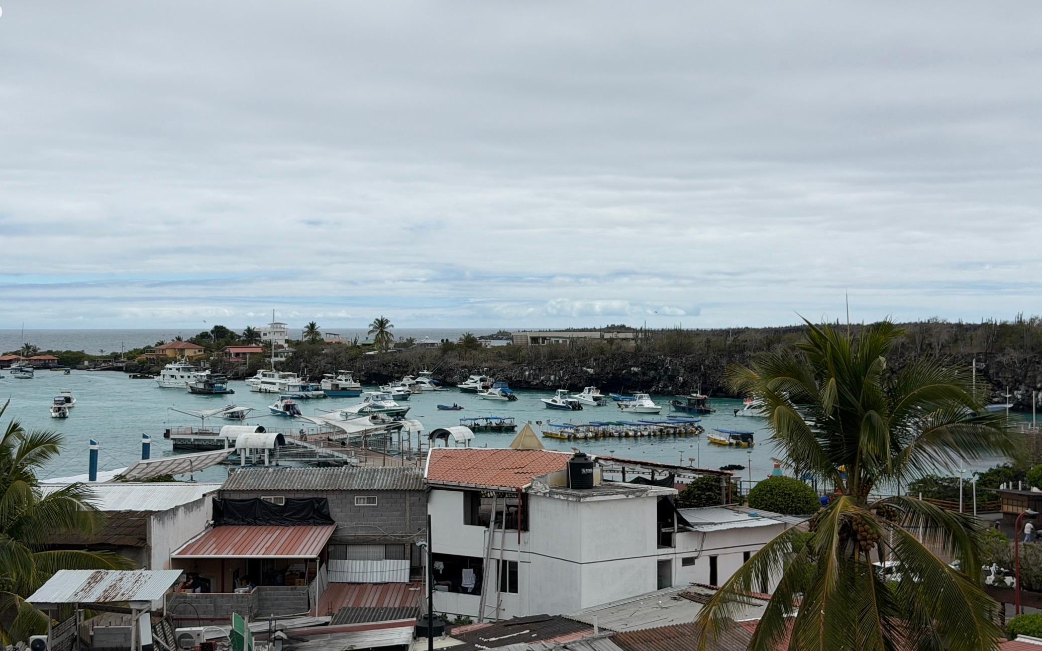 屋上からの景色