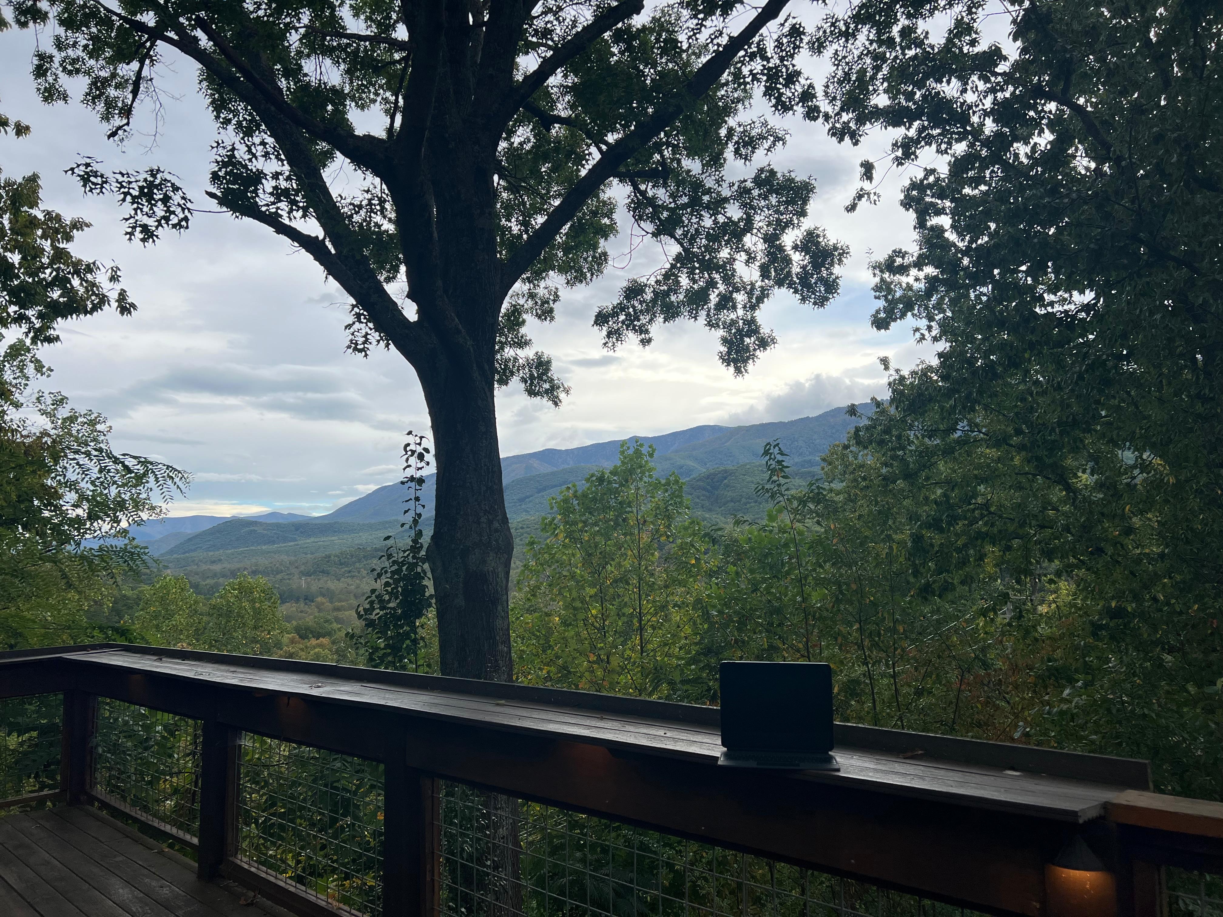 Perfect fall morning