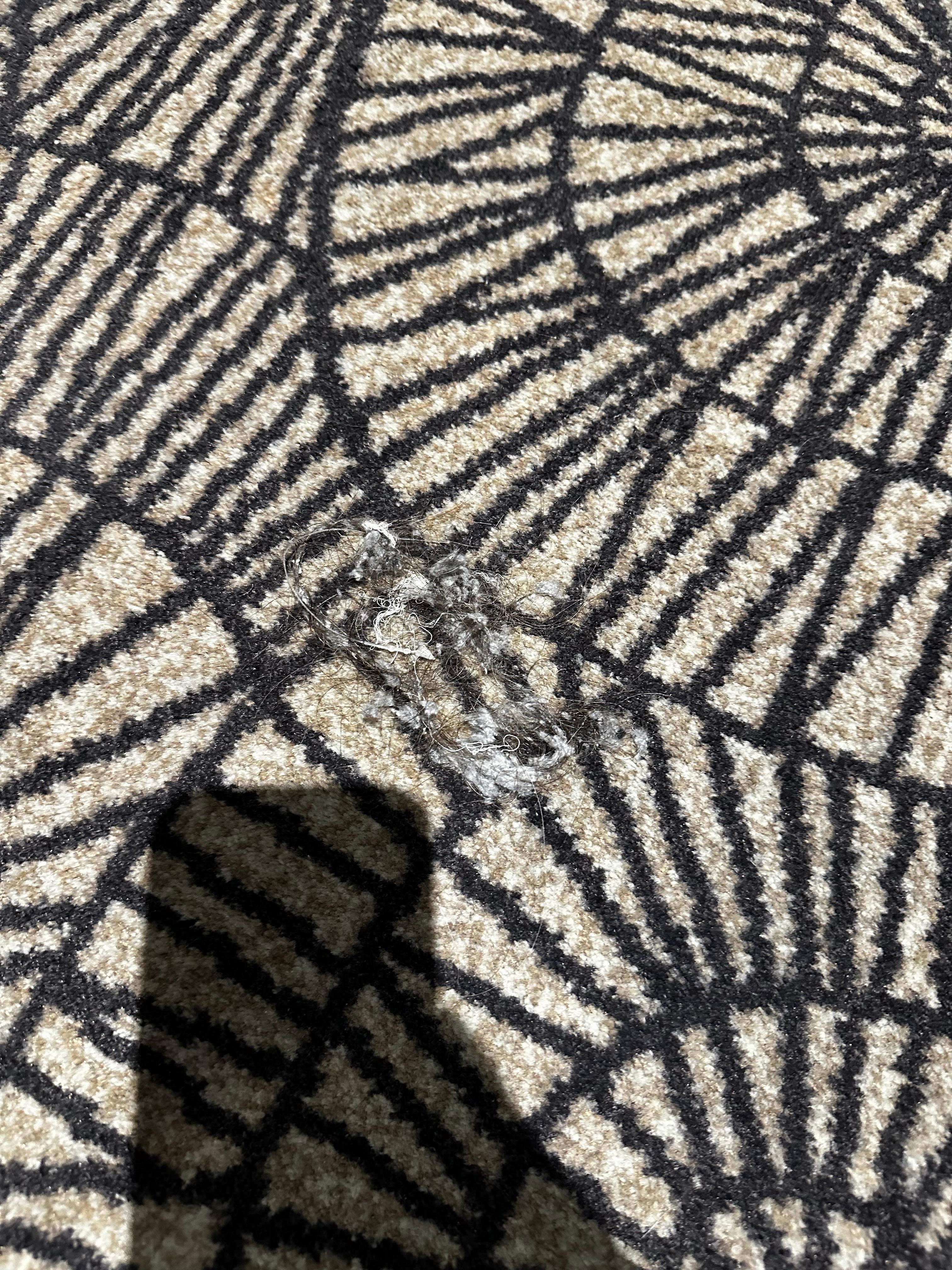Unknown debris on carprt
