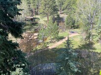 Serene backyard view 2