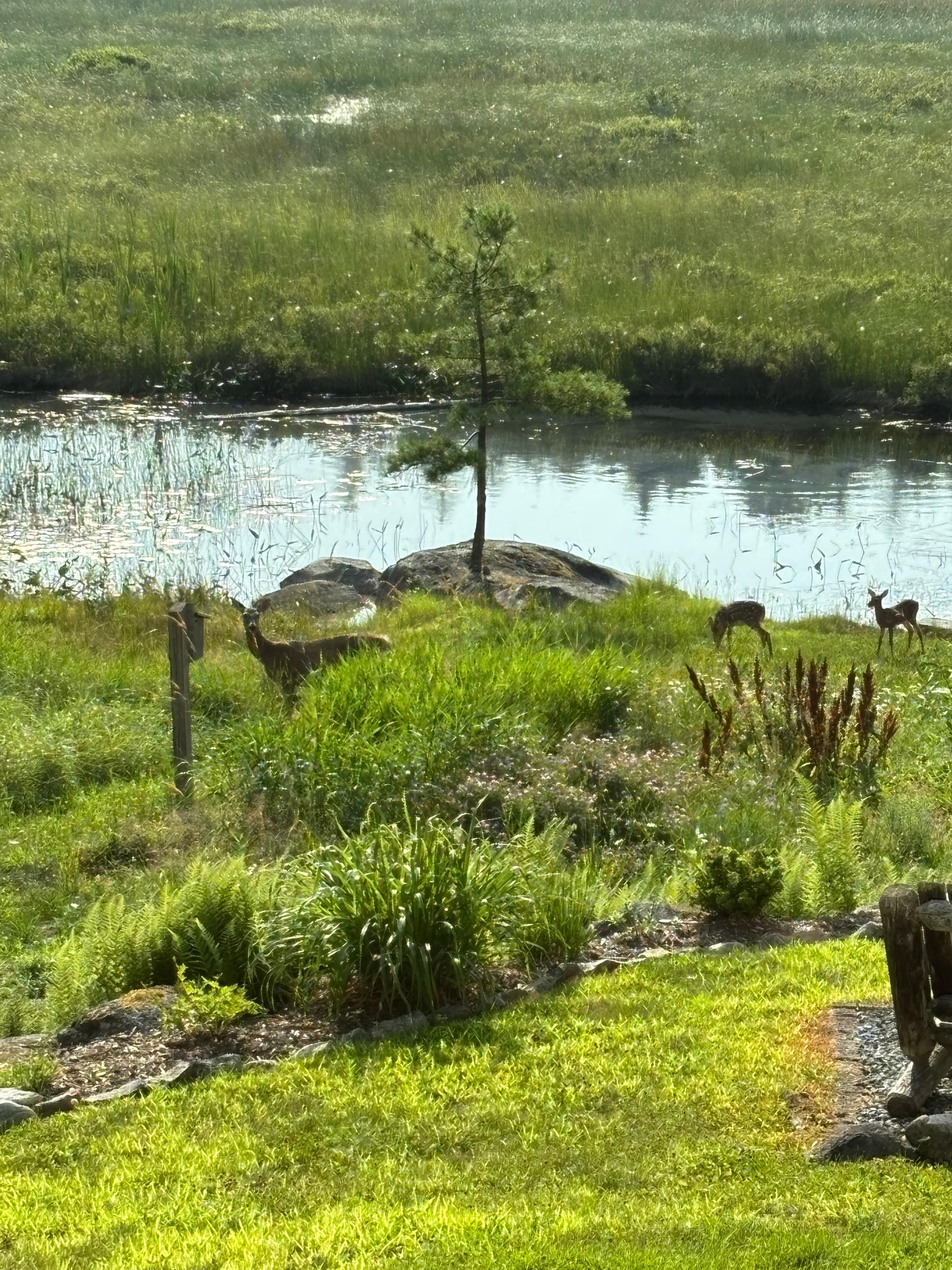 Breakfast friends on our first morning.