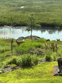 Breakfast friends on our first morning.