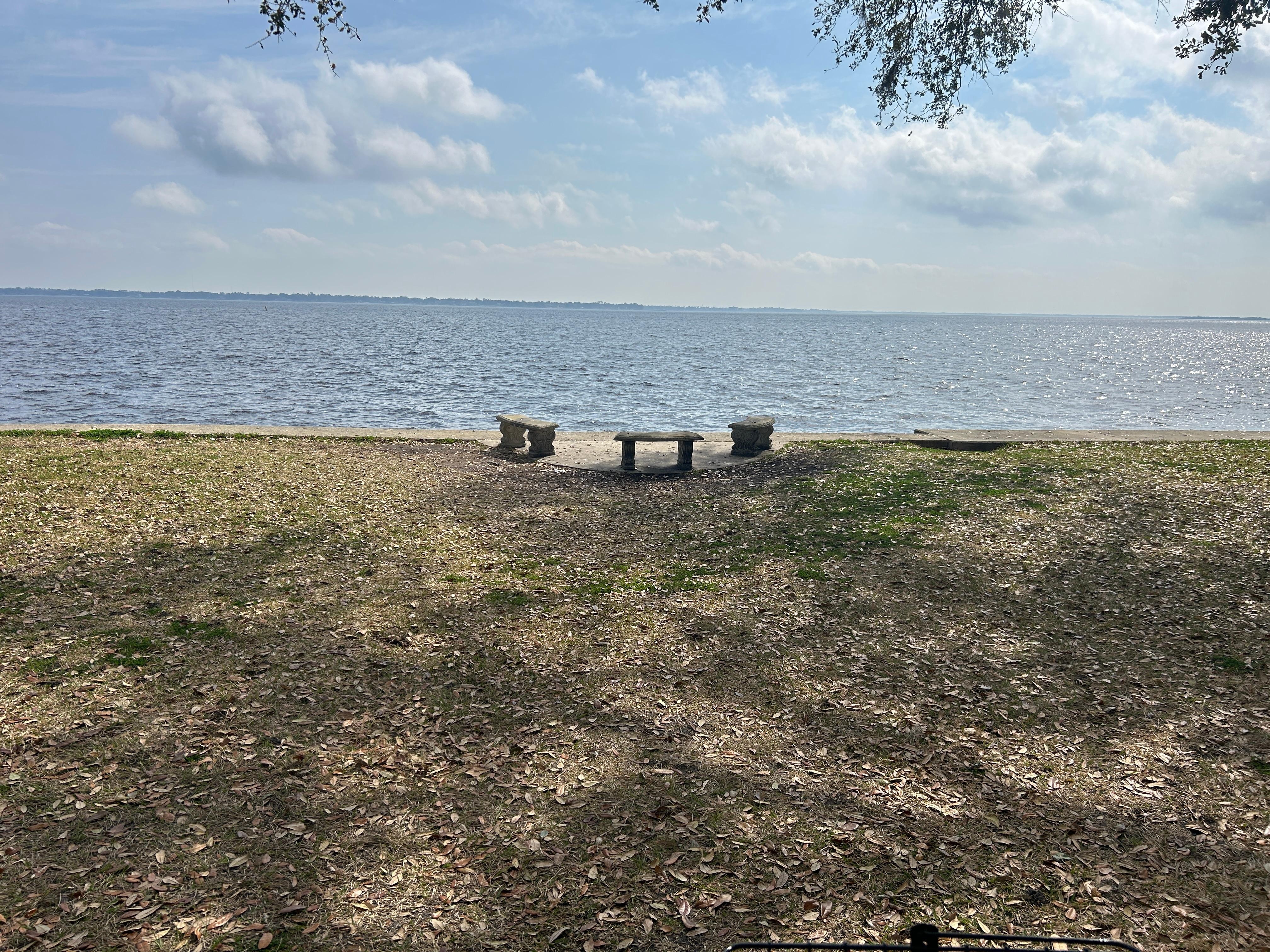 Nearby views of St John’s River.