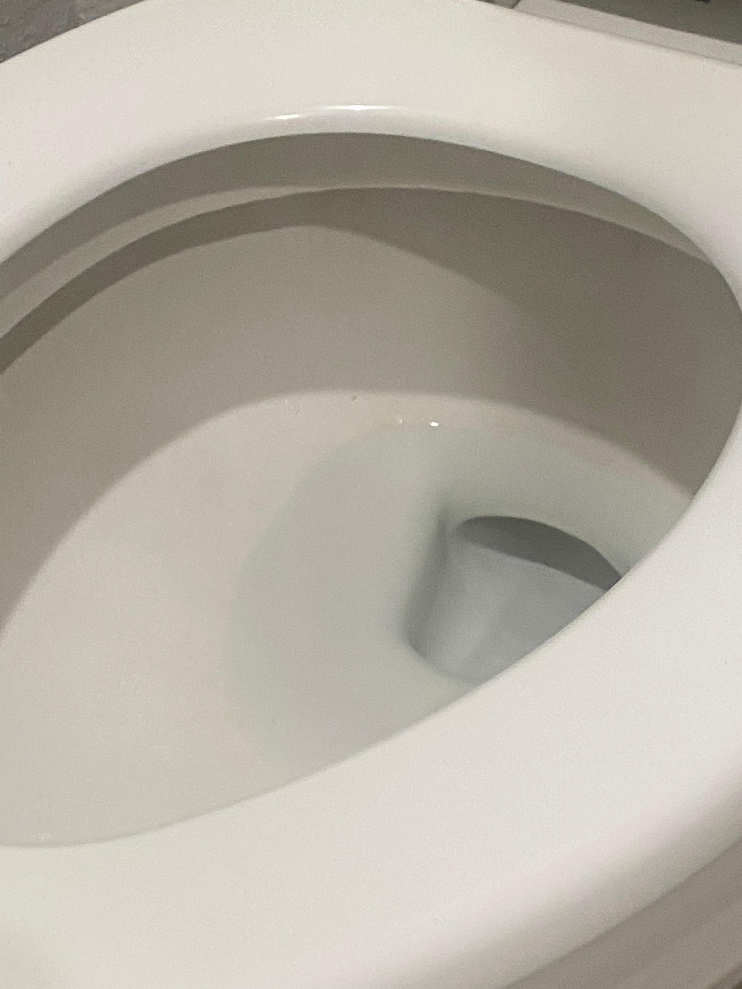 Some sort of grime on toilet seat