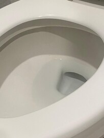 Some sort of grime on toilet seat