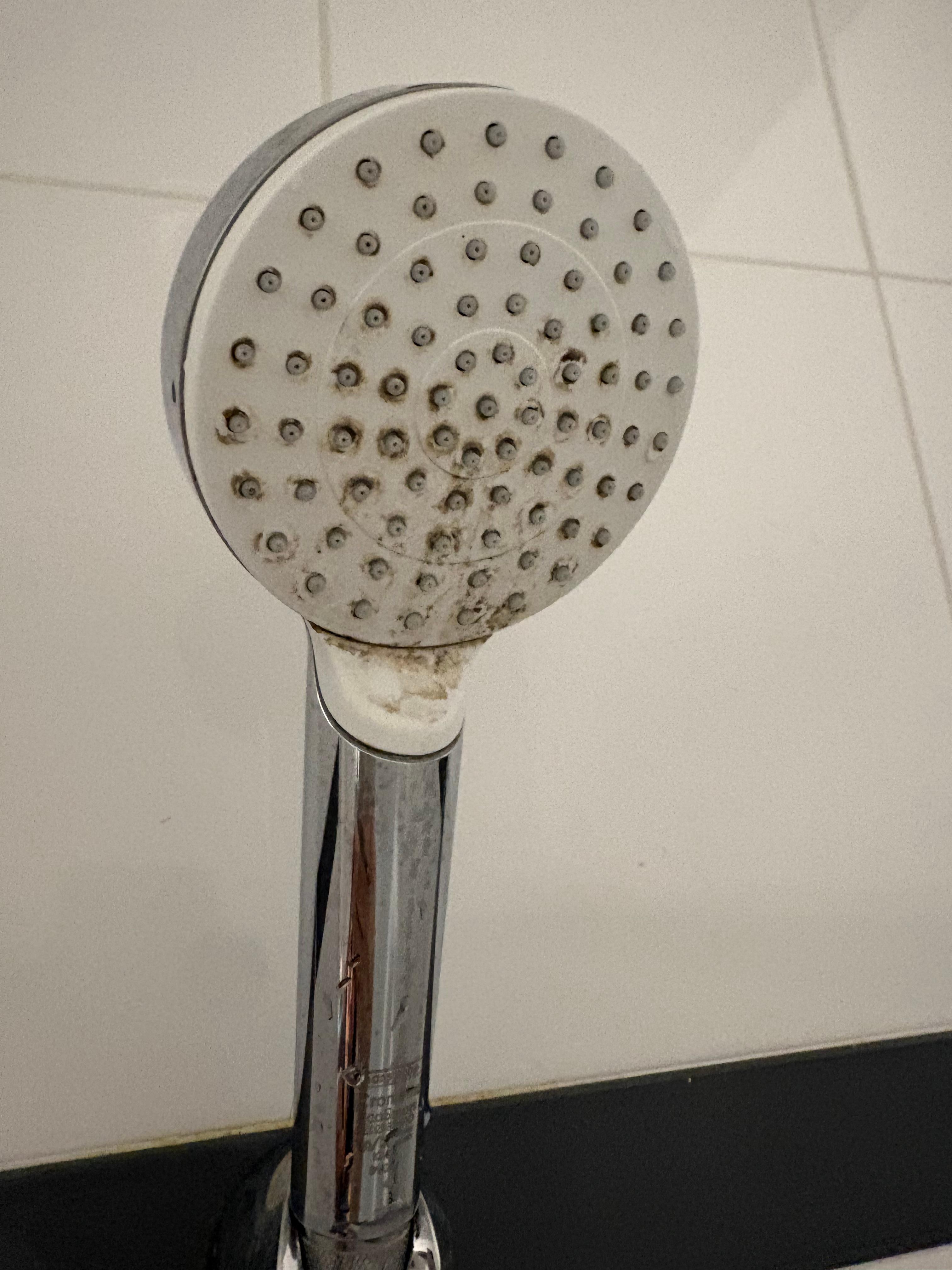 Pommeau de douche