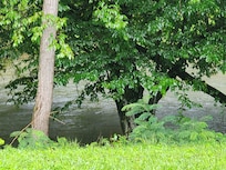 View from back door
