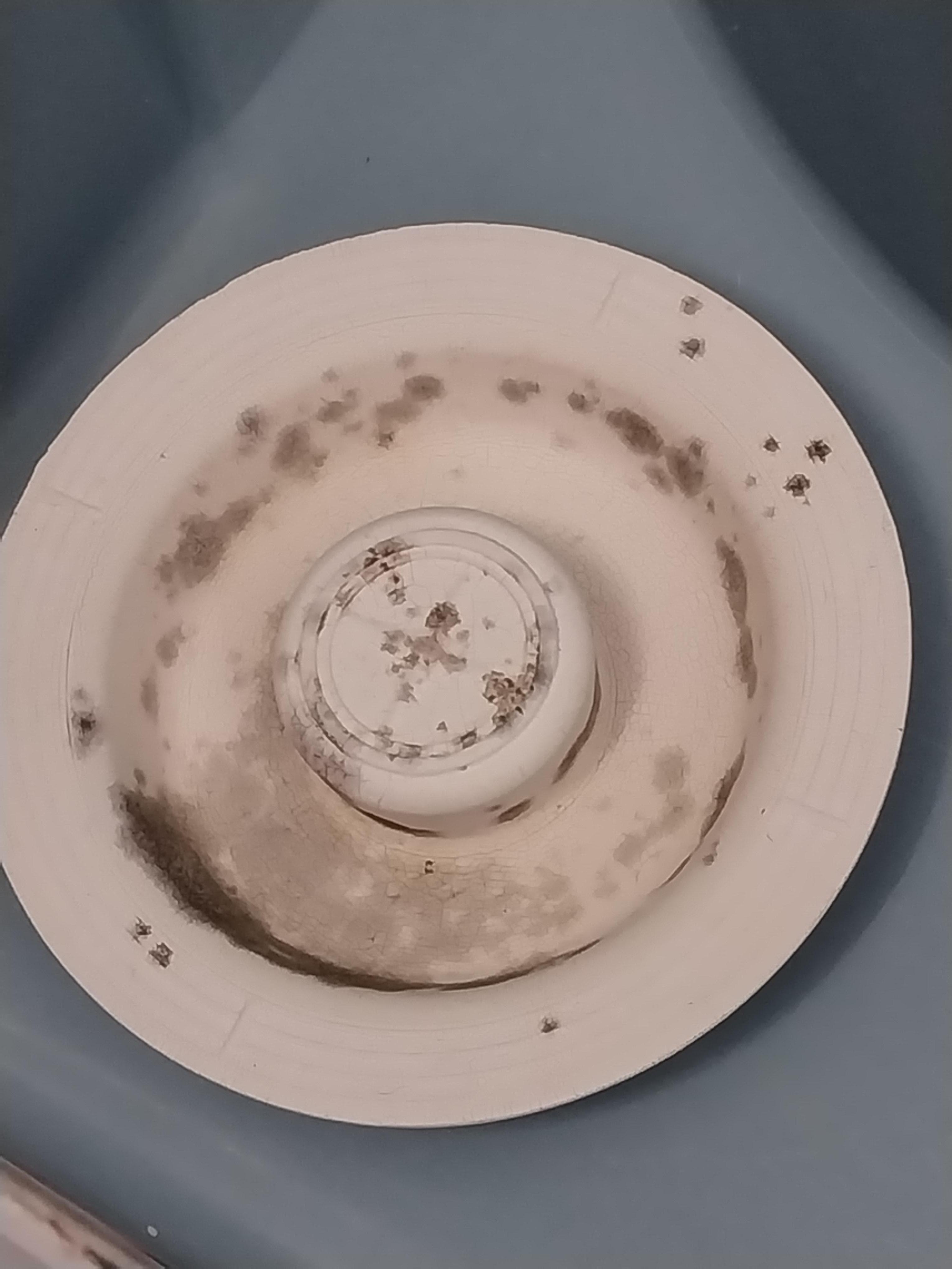 Mold on the drain stopper