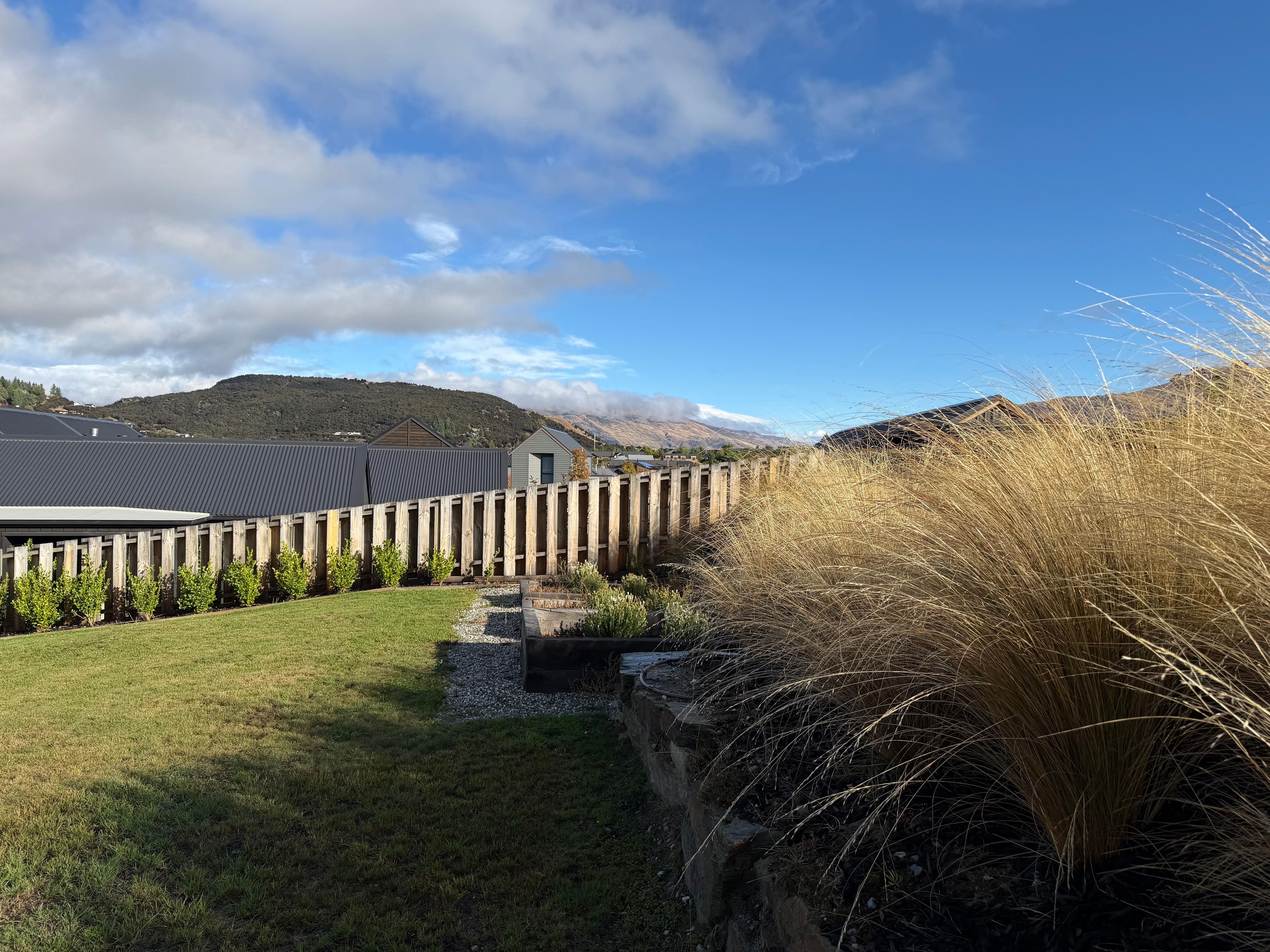 Back yard view