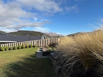 Back yard view