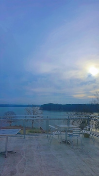 View from dinning area