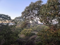 Beautiful backyard views