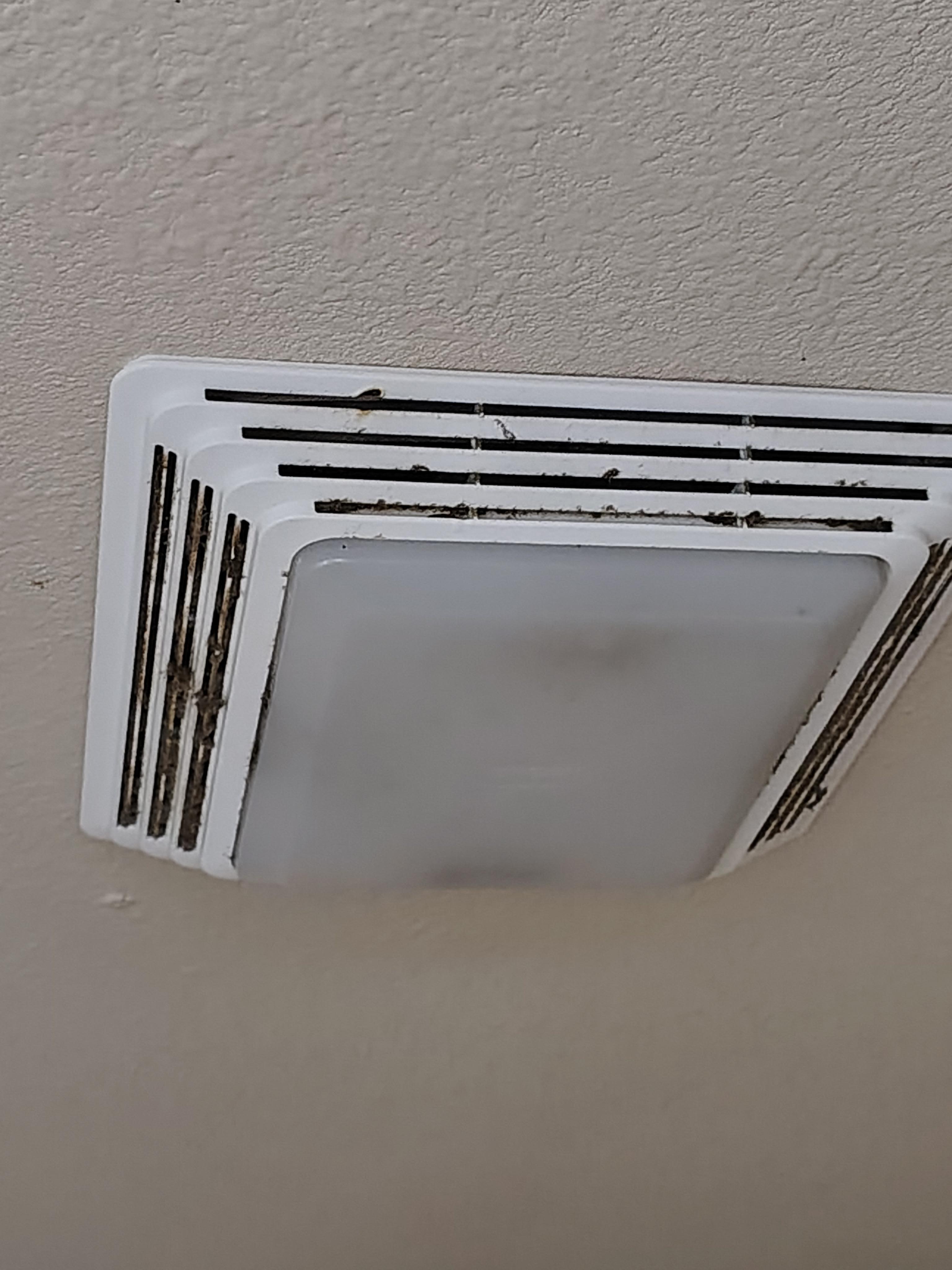Vent in the bathroom, clearly never cleaned