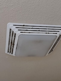 Vent in the bathroom, clearly never cleaned