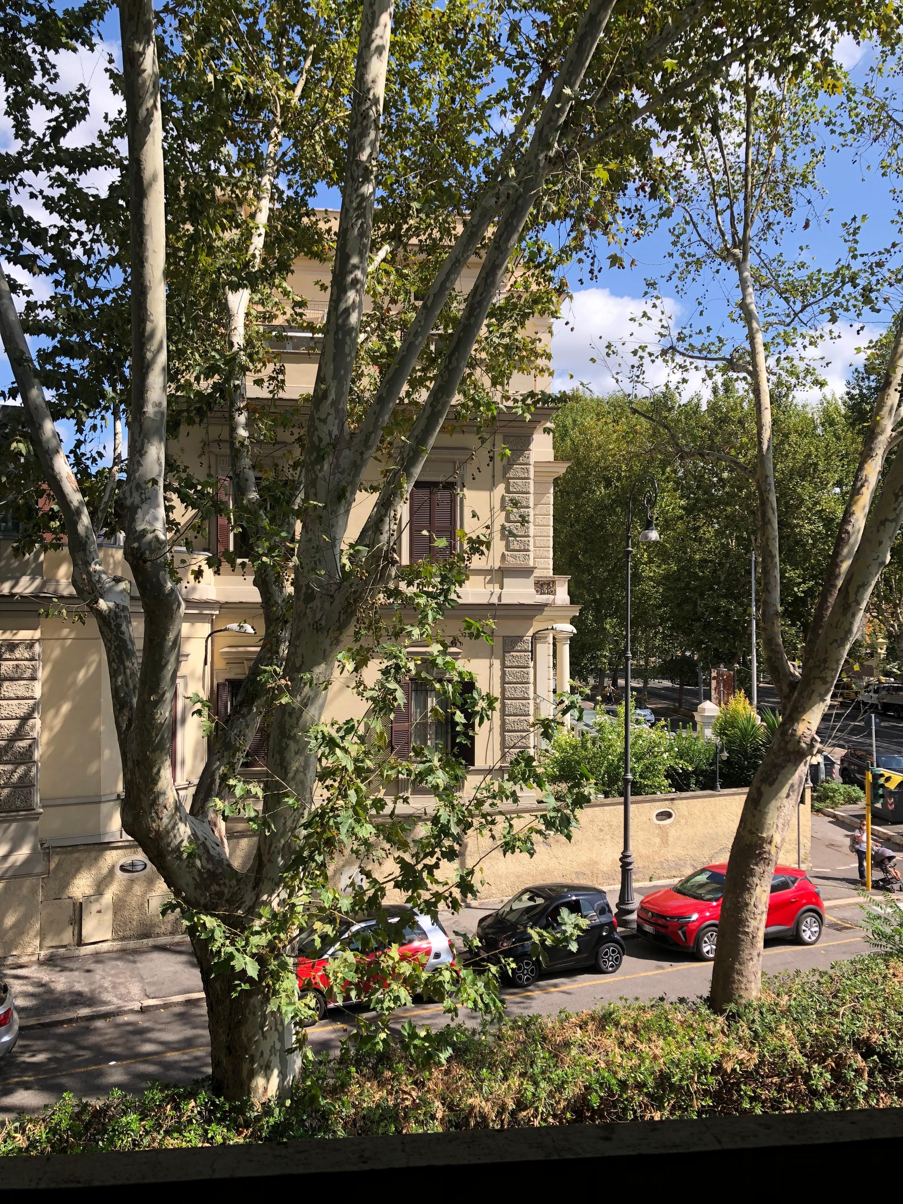 2층 객실 발코니에서의 전망