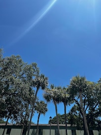 View from the pool.
