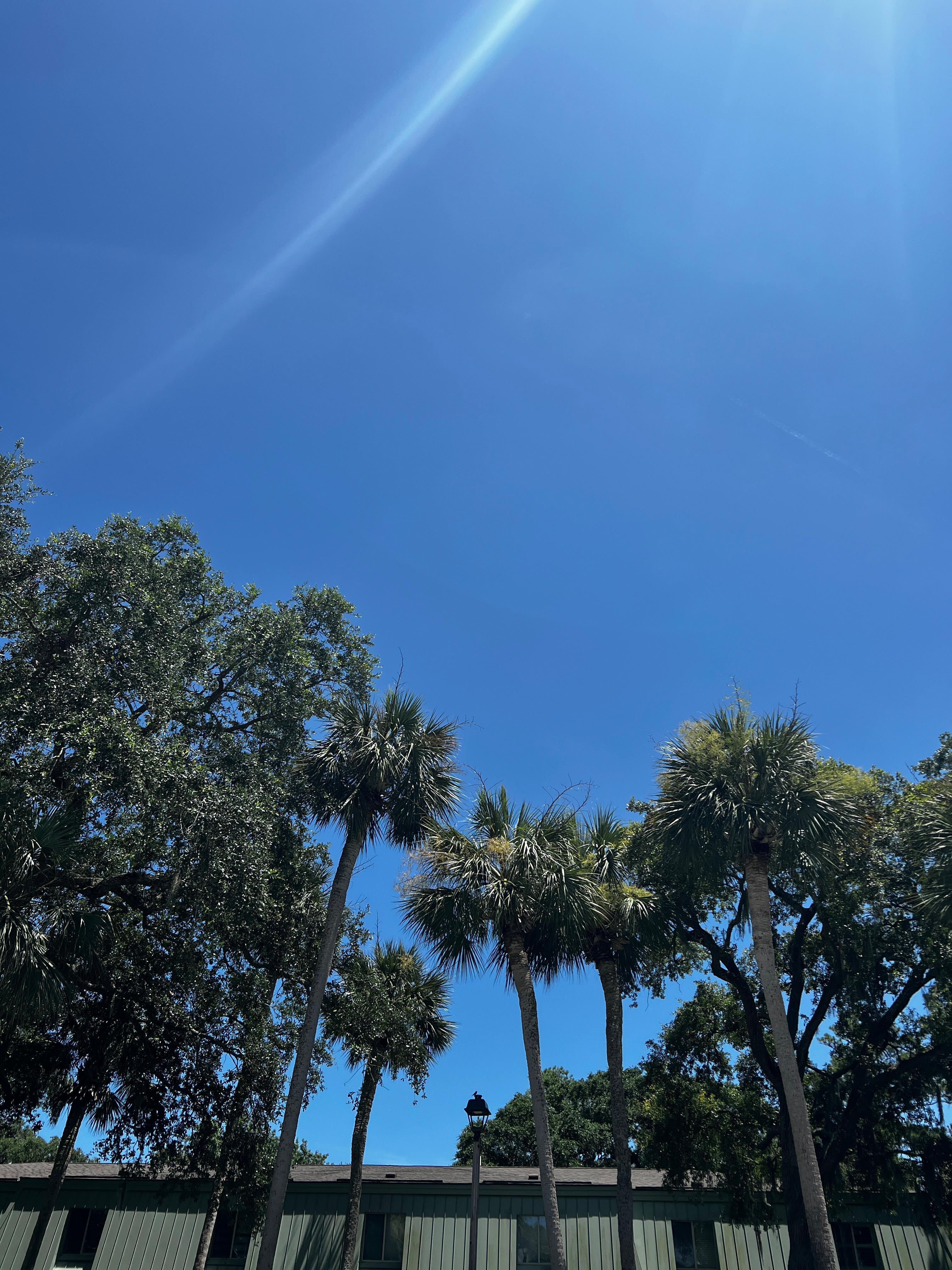 View from the pool. 