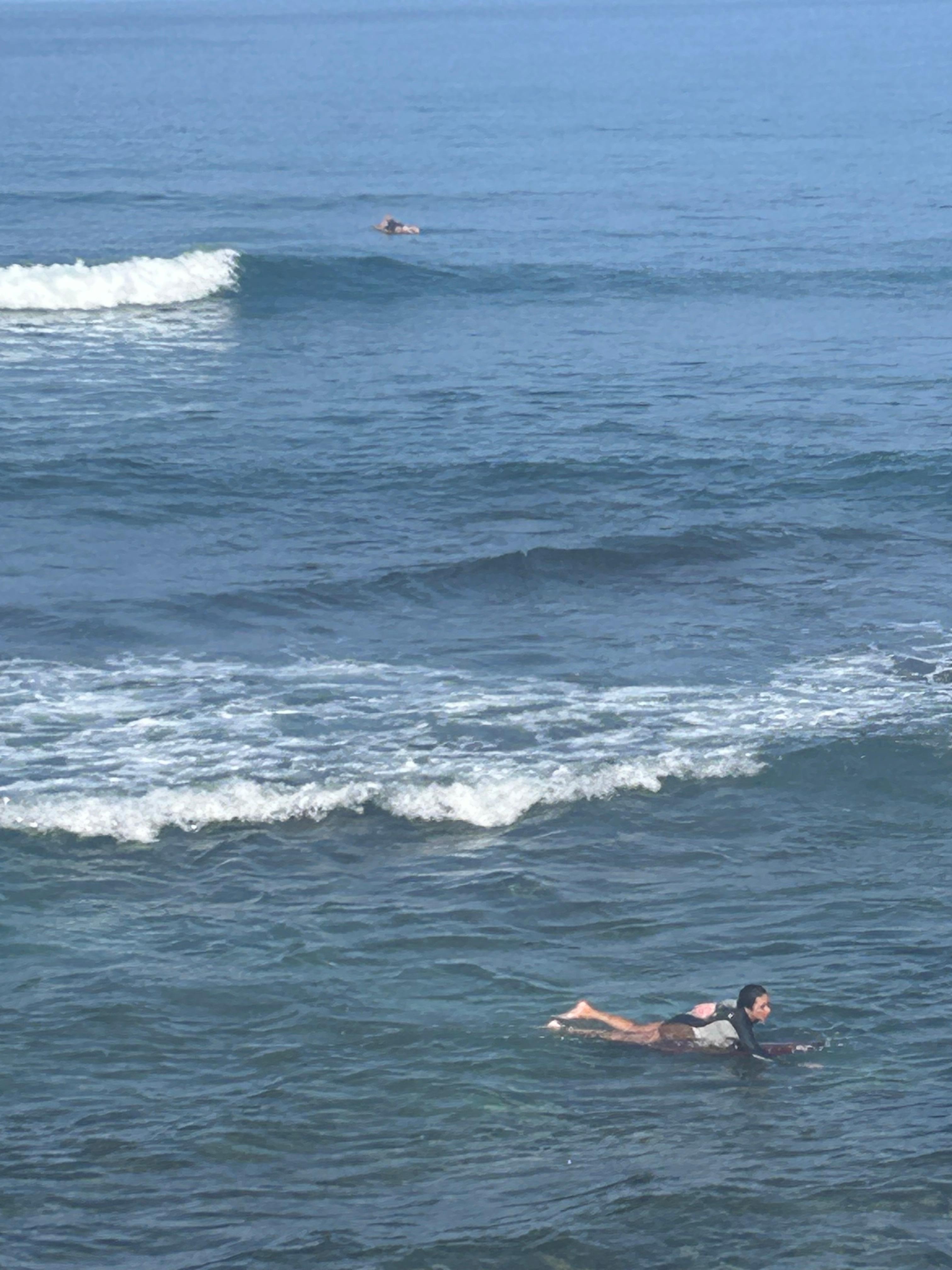 Surfers from the Lanai.