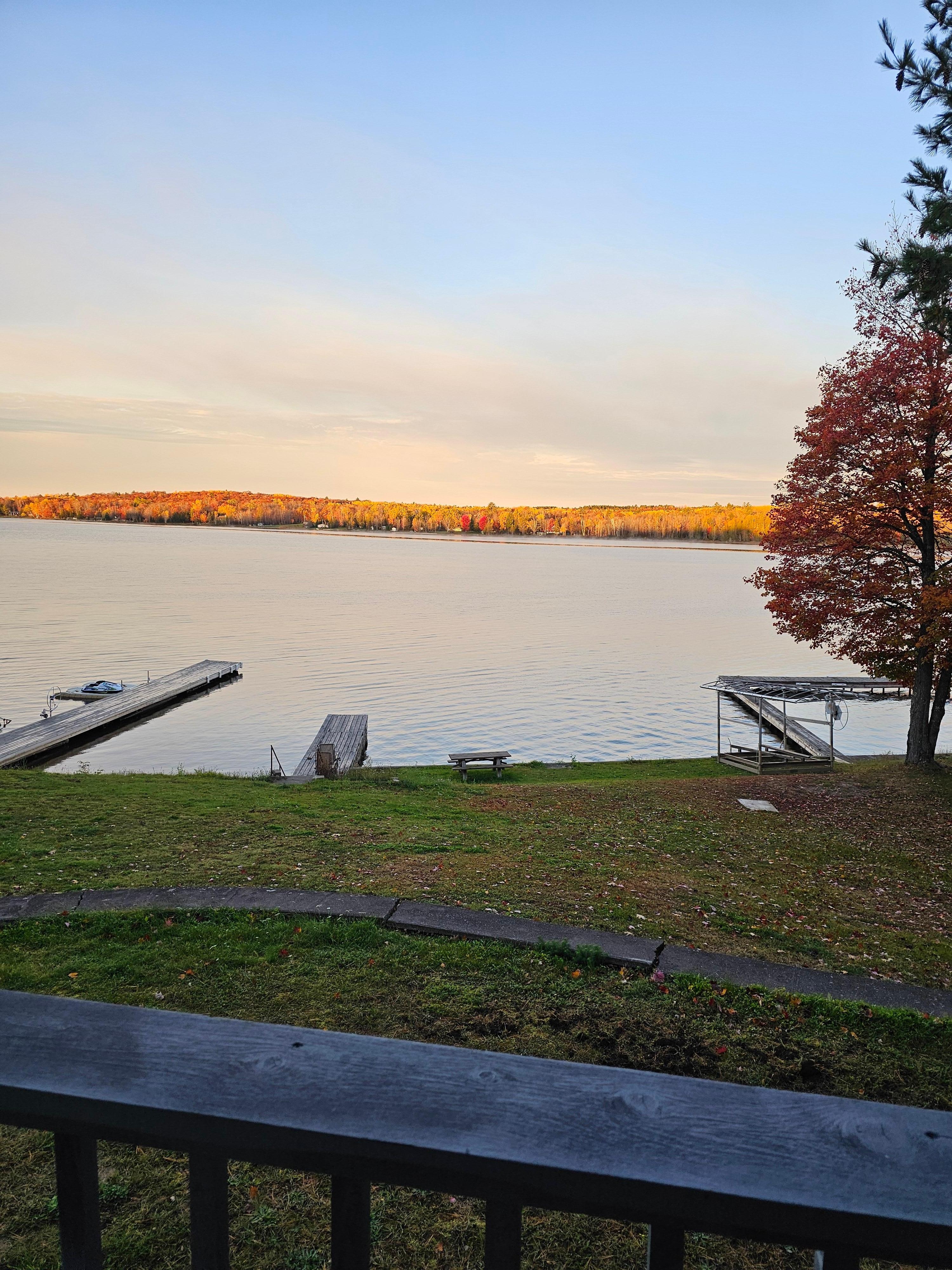 View from back porch 