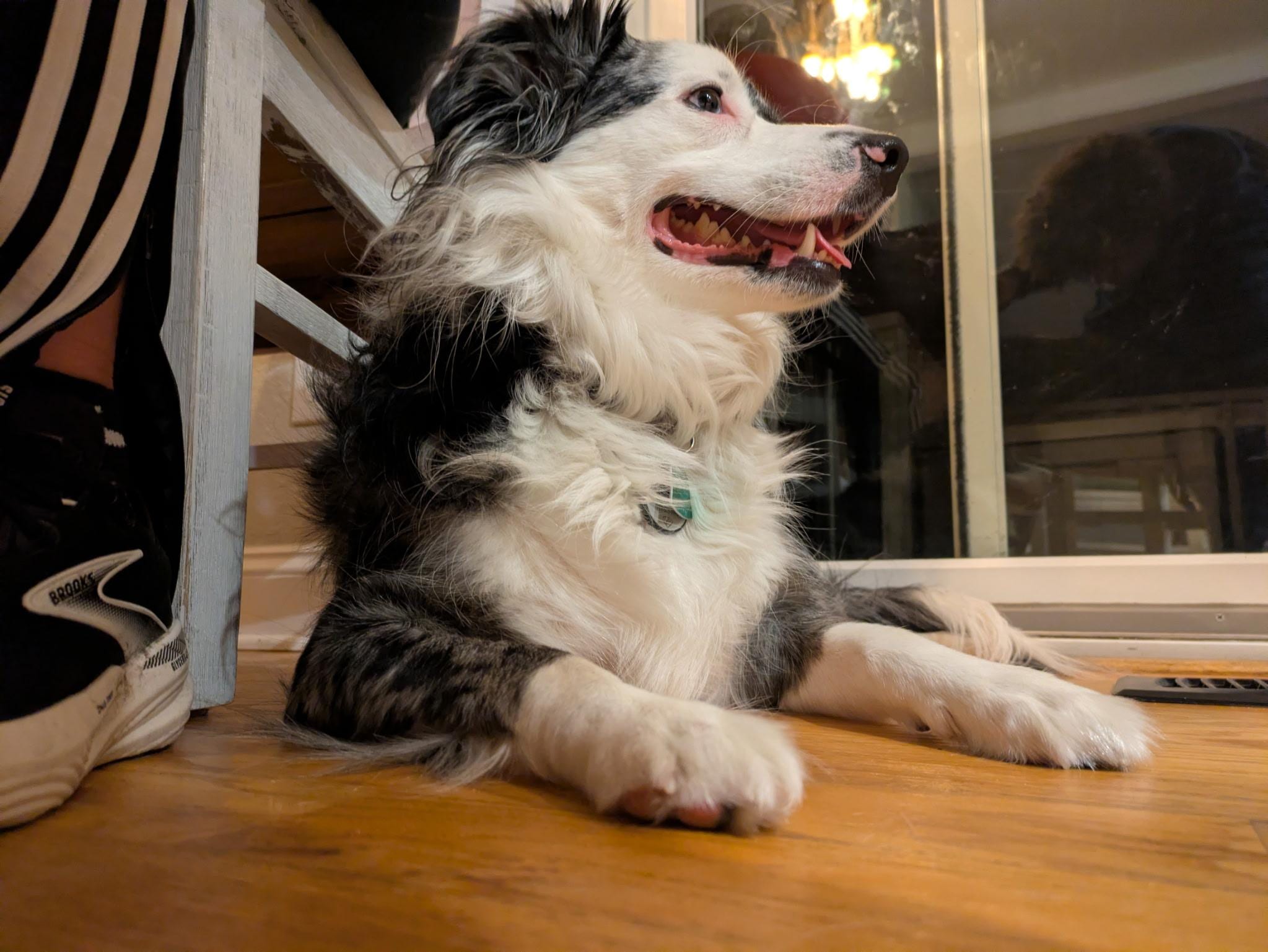 Chillaxin in the kitchen.