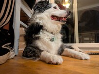 Chillaxin in the kitchen.