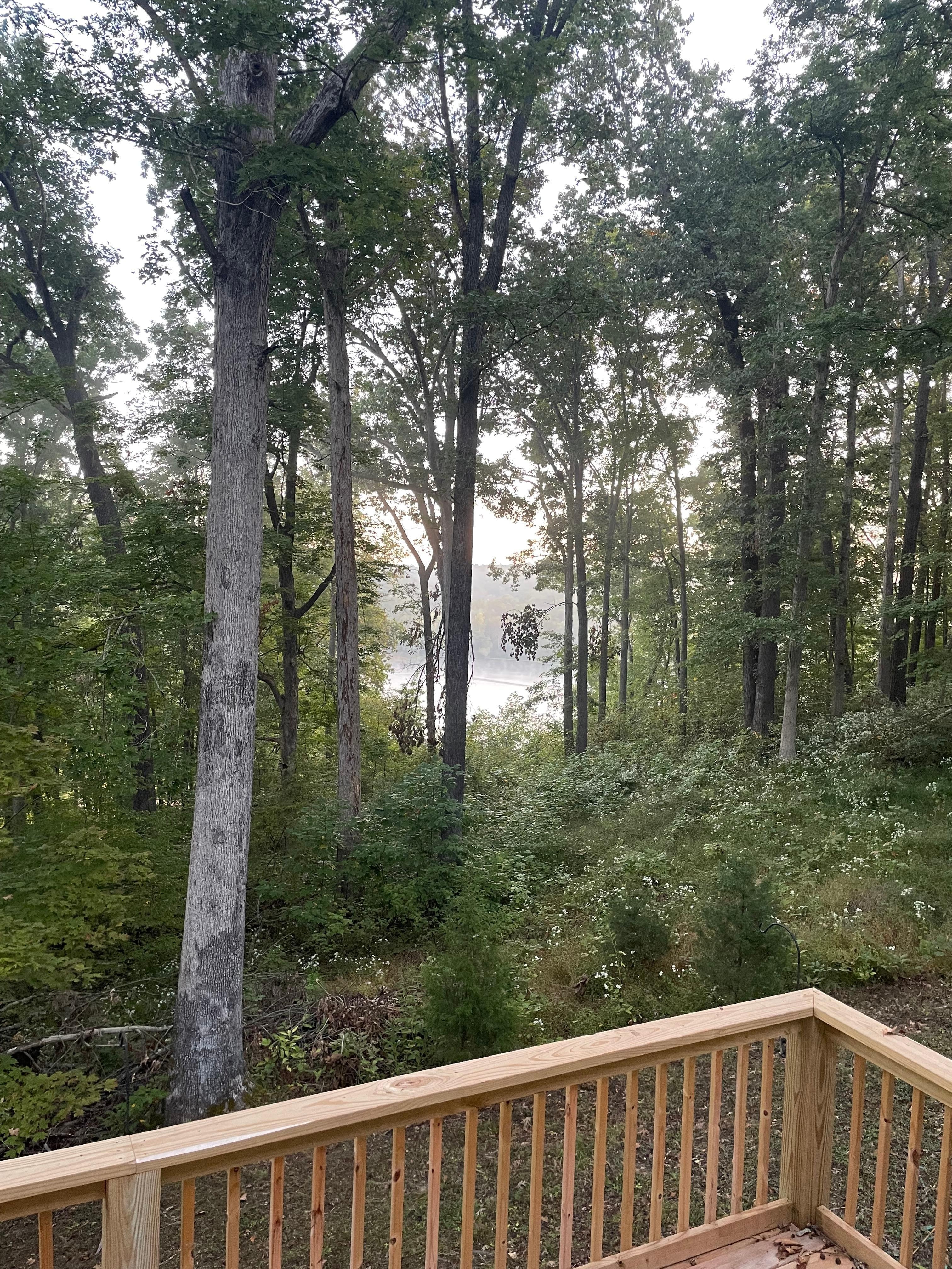 Morning view of mist rising from lake. 