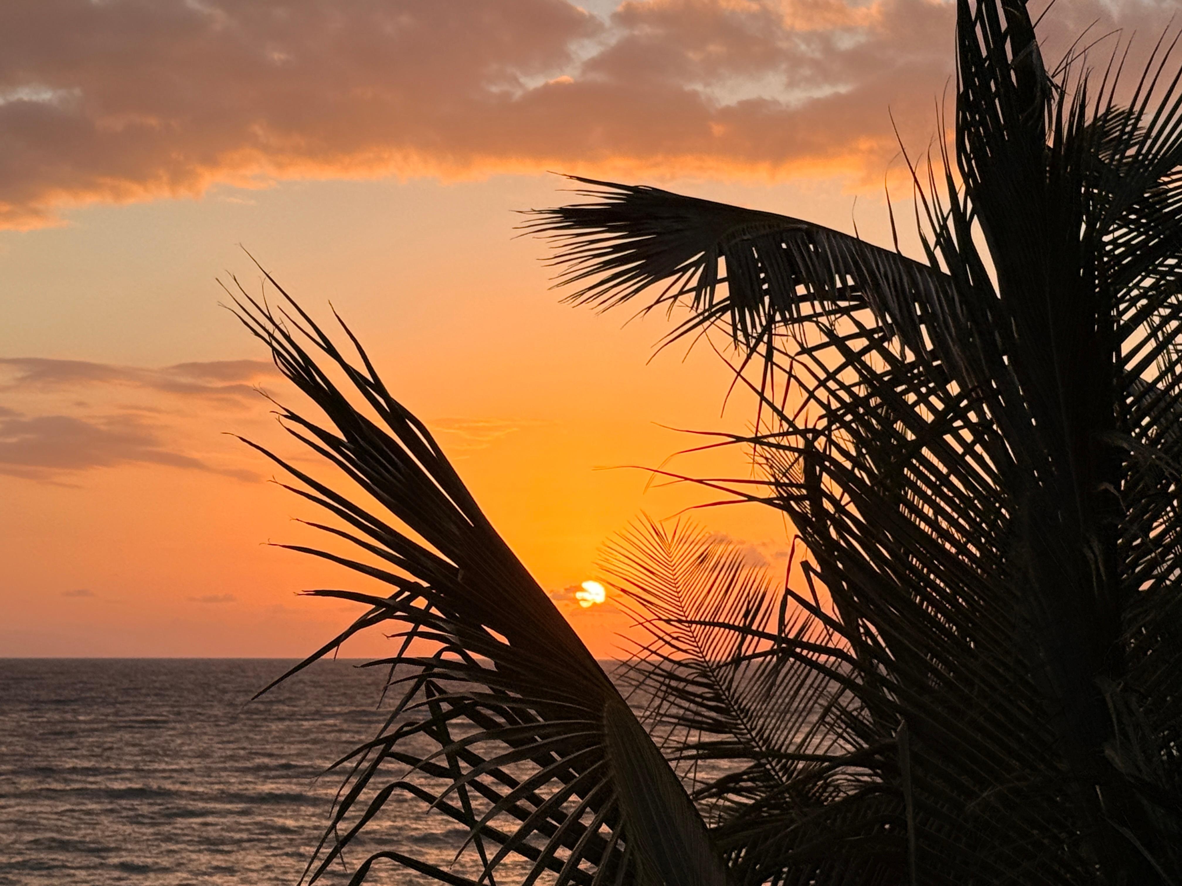Beautiful sunrise from our room 