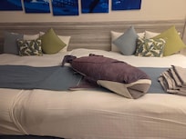 They left a whale stuffy for my 6 year old