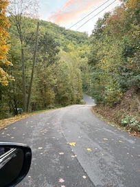 Road leading to cabin