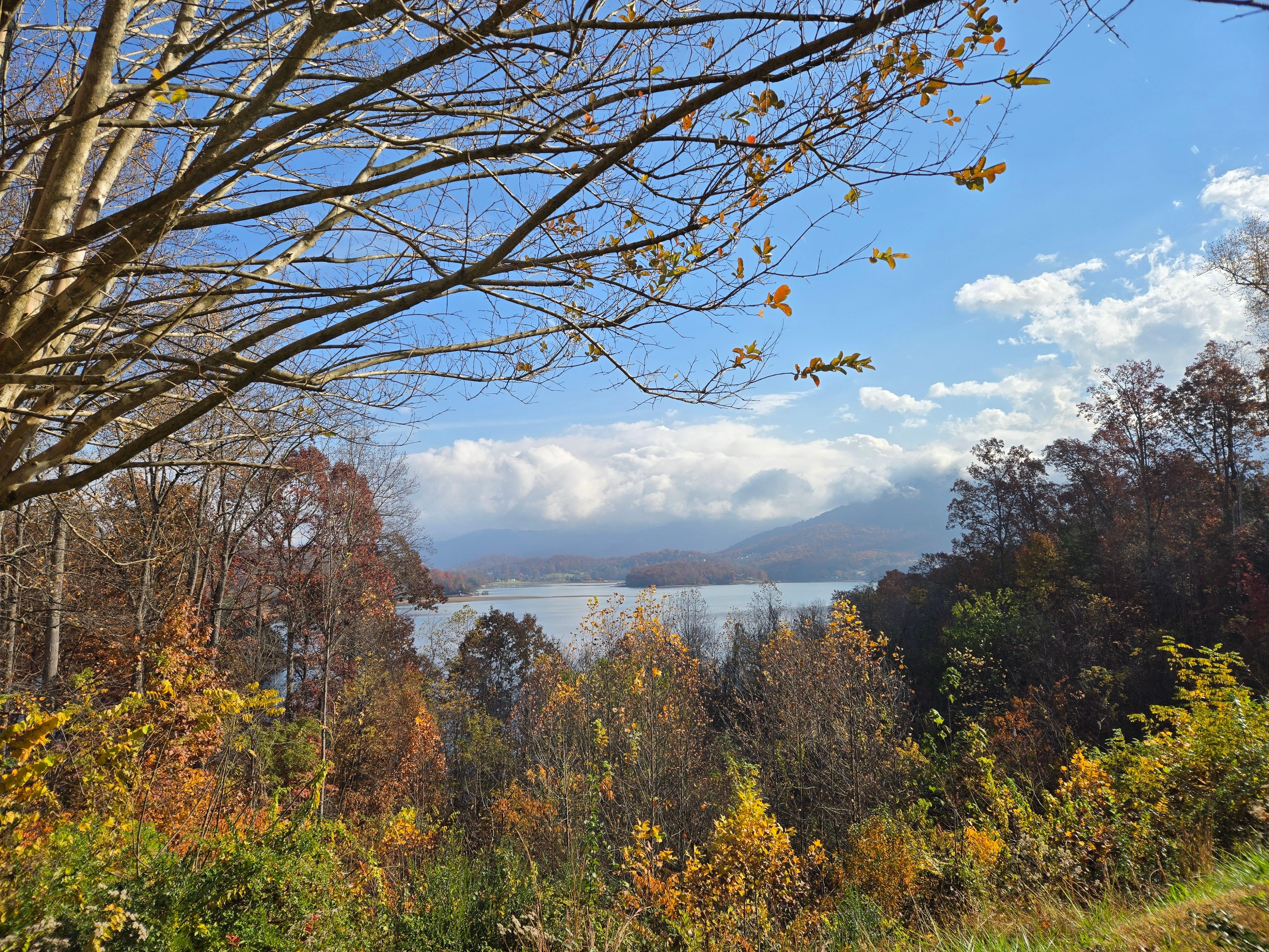 The view from the back patio area of the lodge. 