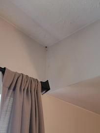 Bugs and webs in each corner