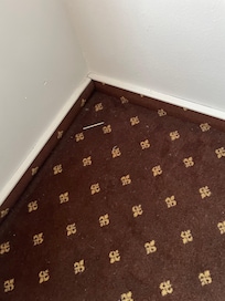 Nicht gesaugt, Zahnstocher auf dem Boden