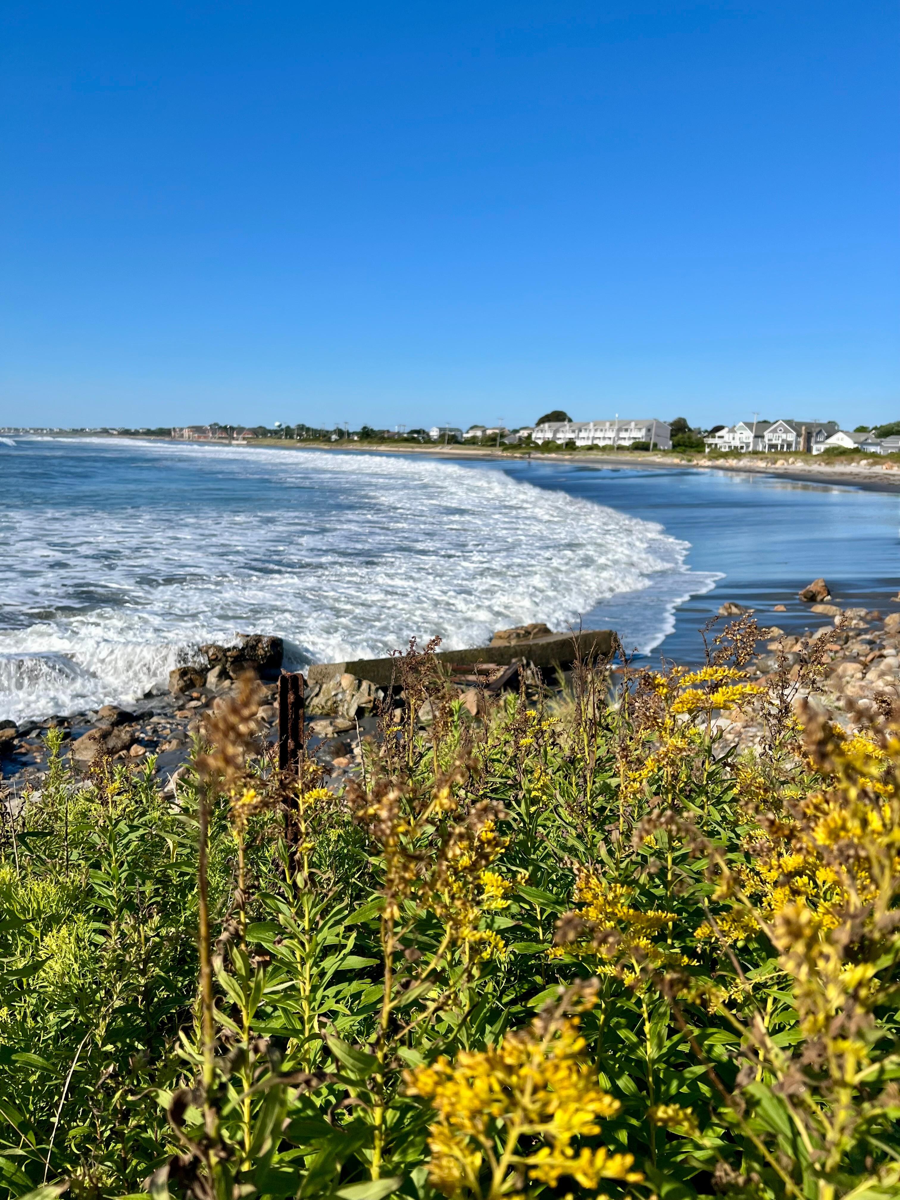 Nearby Black Point Trail