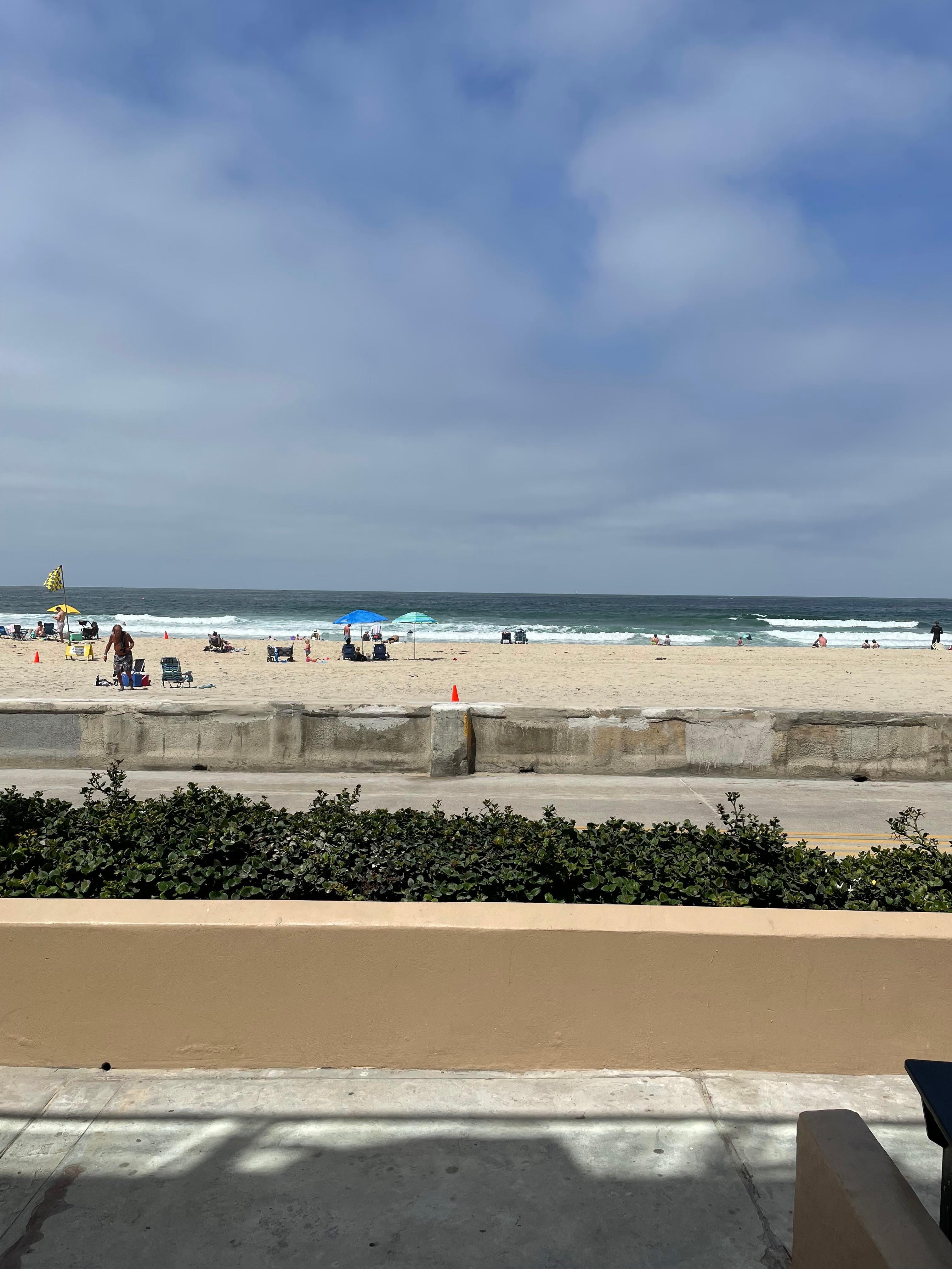 View from the patio. 