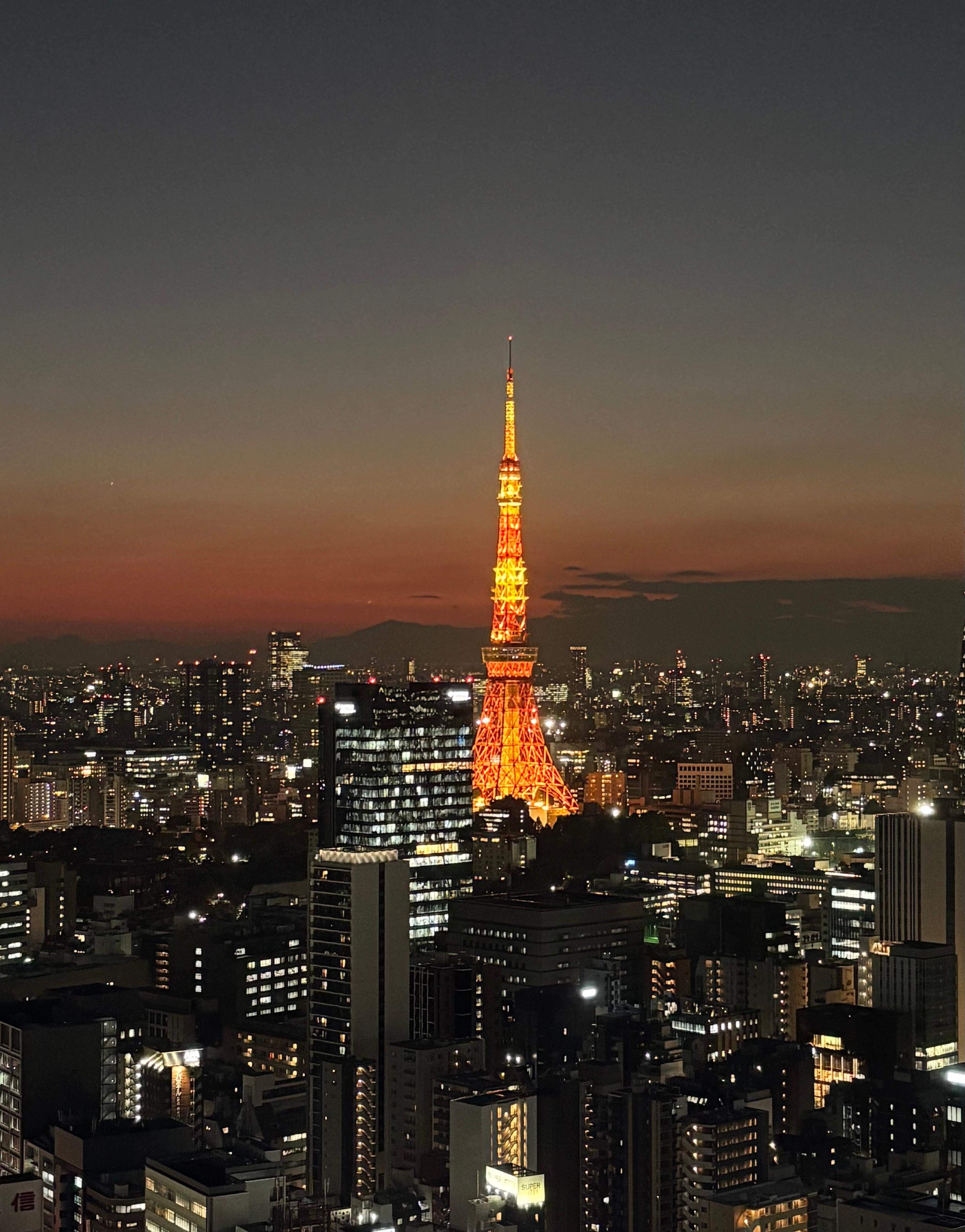 Make sure you book the “Tokyo Tower View” rooms and you’ll get treated with this million dollar view!