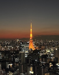 Make sure you book the “Tokyo Tower View” rooms and you’ll get treated with this million dollar view!